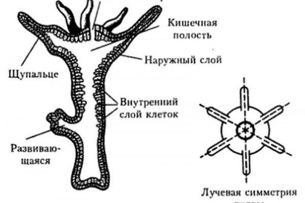 Кракен онлайн