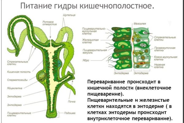 Кракен актуальная ссылка kraken torion net