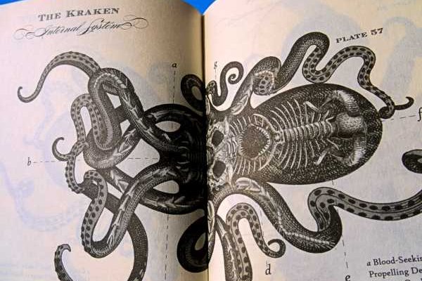 Кракен марихуана