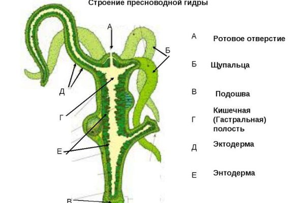 Кракен даркнет ссылка на сайт